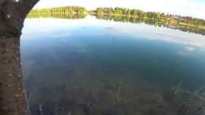 Мормышинг. Ловля леща на спиннинг.