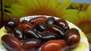 Посев Томатных Гномов для открытого грунта. Обзор рассады томатных Гномов ранних посевов.