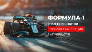 ГОНКА ГОООООНННКККАААААА Япония - Сузука 4 этап Ф1 2024 Алексей Попов и Наташа Фабричнова Формула 1