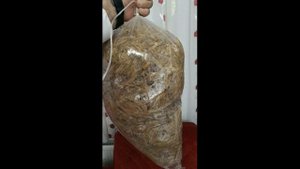 Пакеты (мешки) для выращивания вешенки. Цвет и размер пакетов. Вес и диаметр грибного блока.