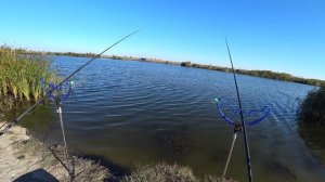 РЫБАЛКА .КОРМАК VS FLAT METHOD на РЕКЕ.Битва кормушек!