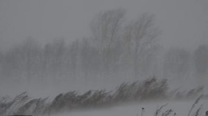 Поземок, низовая метель и общая метель 01 02 15