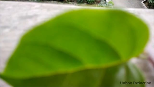 WORLD TOP 5 Smartphone Gadgets Amazon UDER 100 TO 200 300 500 Rupees ON FLPKART OR ALI EXPRESS смотреть онлайн