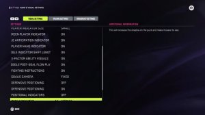 Мои визуальные и настройки управления в NHL24 (Setting & Controller)