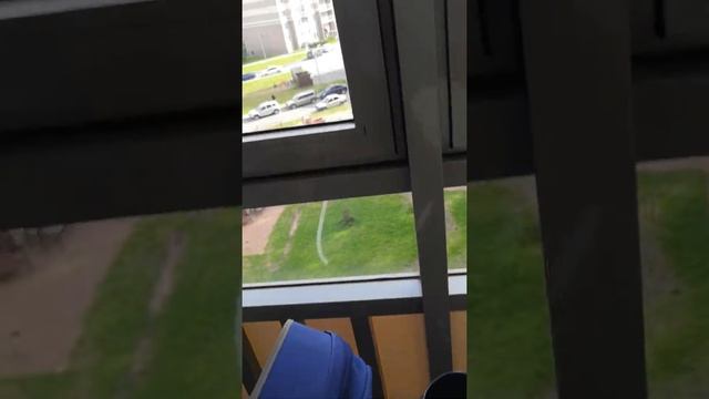 Арбуз на балконе созрел смотреть онлайн