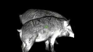 FORTUNA GENERAL ONE 6L. Тест качетва изображения