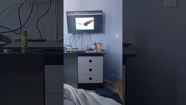 причам о Орловима смотреть онлайн