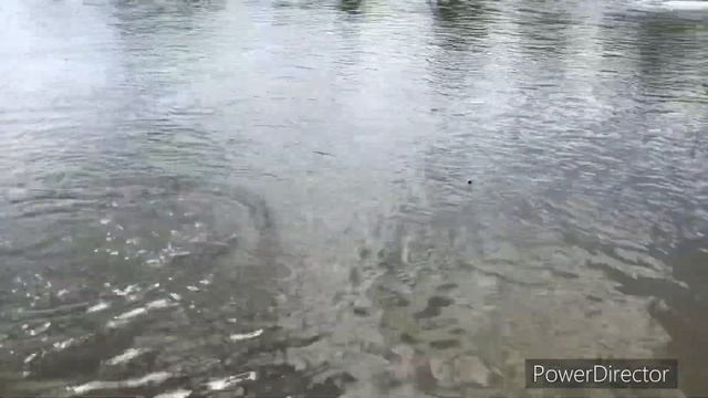 ?БИОСФЕРА-ФИШ. ? Удача рыбака. смотреть онлайн