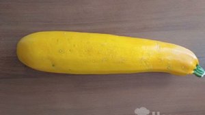 Заморозка кабачков стружкой на зиму