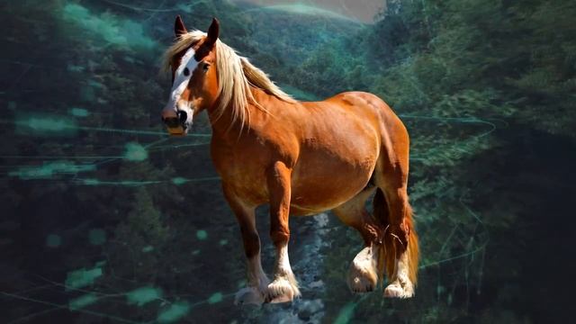 Восточный гороскоп на 2021 год для Лошади. смотреть онлайн