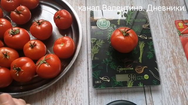 № 335 томаты сорта _Северенок F1_