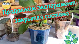 Продолжим эксперимент: закрытая система