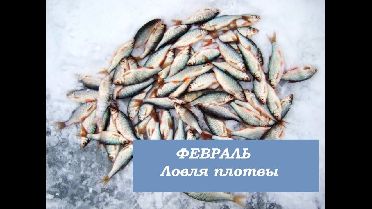 ГЛУХОЗИМЬЕ в ХМАО.ЛОВЛЯ ПЛОТВЫ НА ТАЕЖНЫХ РЕЧКАХ. смотреть онлайн