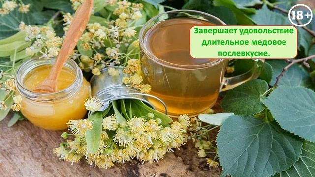 Рекламный ролик чая. Заказать рекламный видеоролик для продвижения бизнеса в Ютуб.