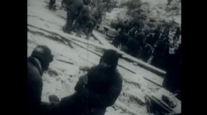 «Как это мы не додрались?» Иван Солоневич