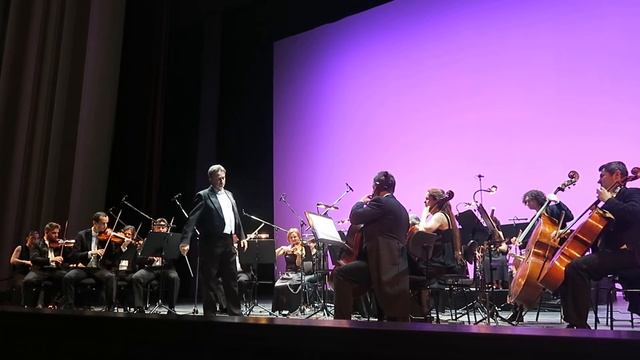 14 Штраус полька Да здравствует Венгрия! смотреть онлайн