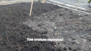 перепахал огород весной