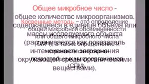 Экология микроорганизмов. Микрофлора воды, воздуха, почвы. Микрофлора пищевых продуктов.