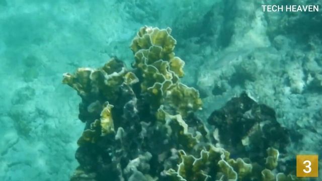 Best Waterproof Cameras 2022 - Top 5 Best Underwater Cameras review смотреть онлайн