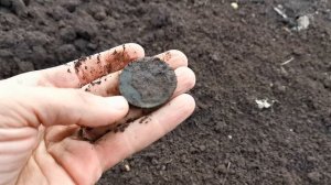 БАБУШКА БЫ НЕ ПУСТИЛА В ОГОРОД, УЗНАВ ЧТО Я НАЙДУ НА ГРЯДКЕ. Коп поиск монет металлоискатель