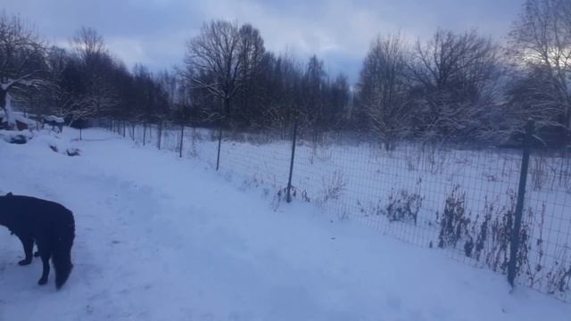 Настоящая Зимняя сказка!!!❄❄❄?В ожидании Чуда...??#влогдомохозяйки #зима