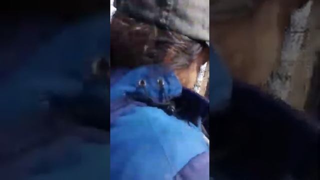 Сбор дикого Мёда в Тайге смотреть онлайн