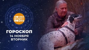 Гороскоп на 14 ноября. Доброе утро. Фрагмент выпуска от 14.11.2023