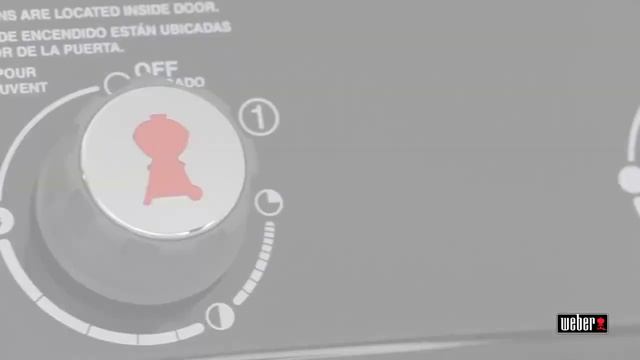 Газовый гриль Weber Spirit E 320 Original - МИР МАНГАЛОВ смотреть онлайн