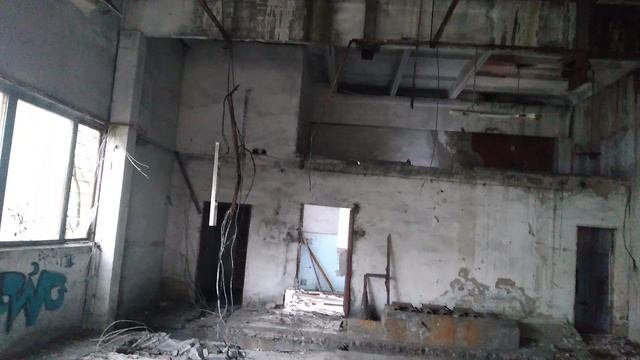 Нашли классные #заброшки в лесу