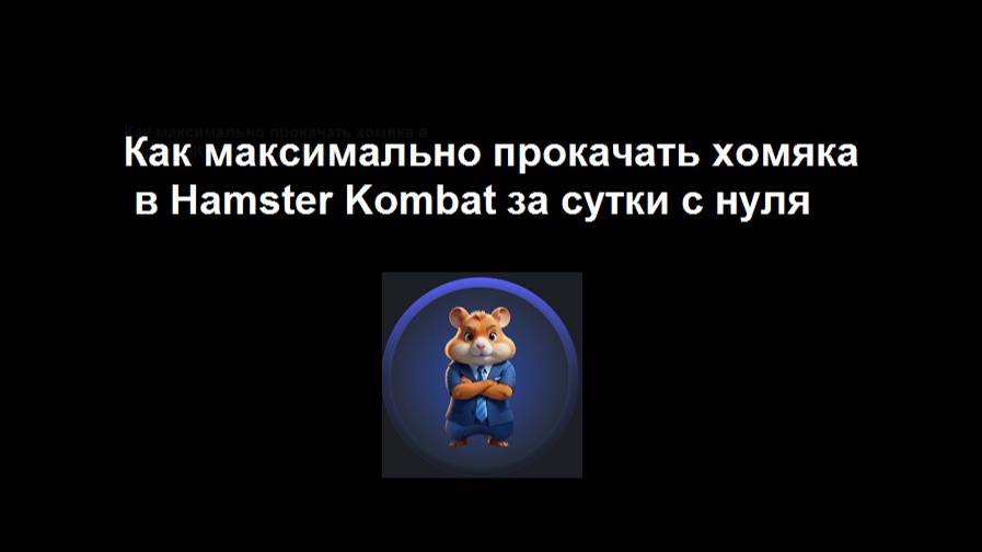 Как быстро прокачать хомяка в Hamster Kombat за сутки с нуля