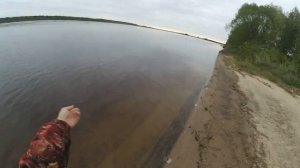 Ловля чехони на резинку 2023г.