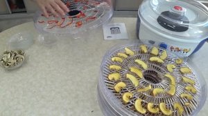 Сушилка для овощей и фруктов + йогуртница. Сушилка Великие Реки Волга-8