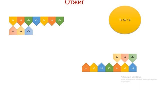 Этапы постановки ПЦР