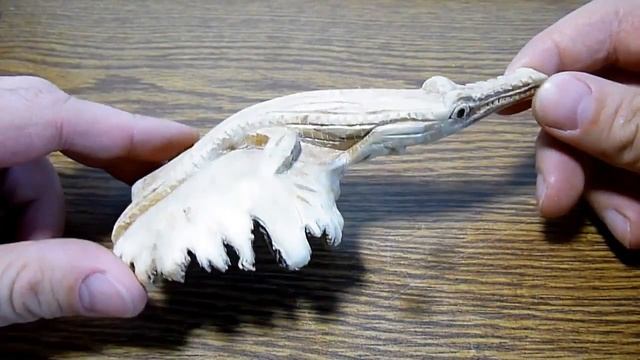 Сувенир из национального парка Эверглейдс,Флорида,США Everglades national park souvenir смотреть онлайн