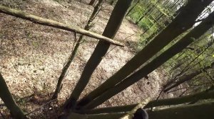 Построил новую сталкерскую базу в Чернобыле. Делаю домик на дереве и землянку. Выживание в лесу