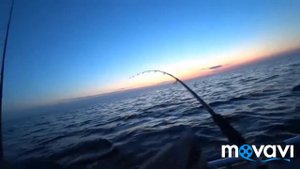 Троллинг Судака! Ночной судак!