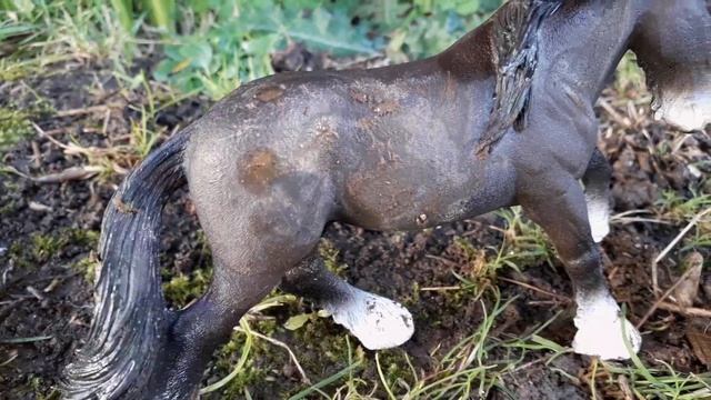 Life of a Shire ~ Schleich Horse Movie {Rainbow Riding Ranch} смотреть онлайн