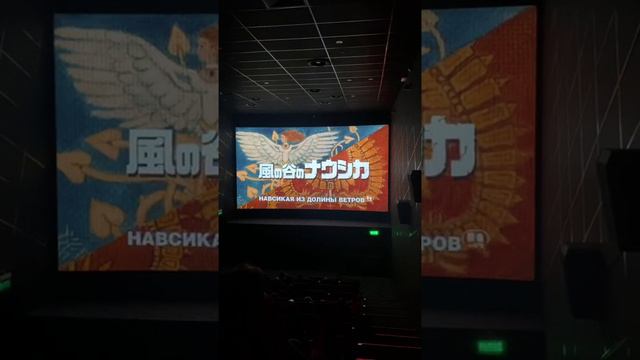 🎬🍿В кино с преподавателем ДВФУ