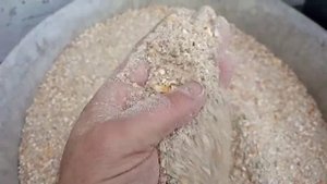 Корм для бройлера своими руками?