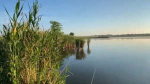 БОЛЬШАЯ нарезка с рыбалок! Влог рыбачки - Тани))