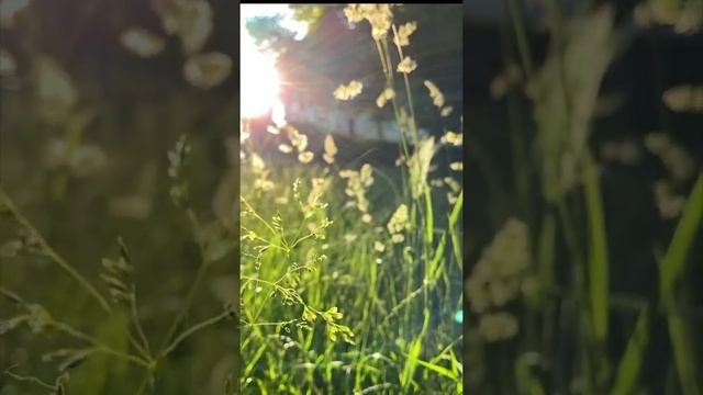 Не можешь уснуть? Медитация для Сна. Идеальна для начинающих смотреть онлайн