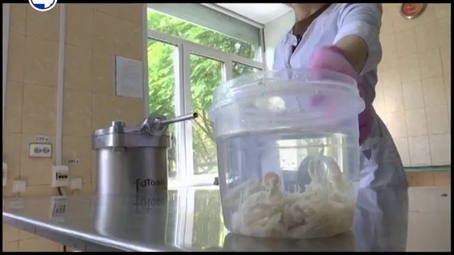 Полезная колбаса смотреть онлайн