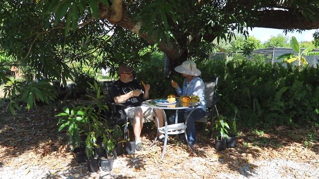 Truly Tropical Tasting Table- Our NEW Mango Varieties! Carpe Diem & Marko! (July 13, 2022) смотреть онлайн