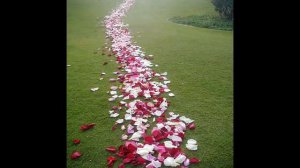 Галине Анатольевне  мой подарок.