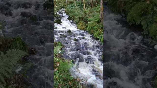 Waterfall in Drumnadrochit, Scotland