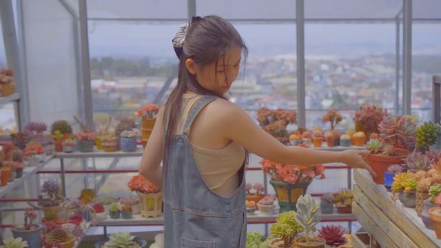 My Huge & Rare Echeveria Succulent Collection - Garden Tour Ep11 | 9 Years Living with Succulents смотреть онлайн