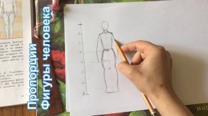 Пропорции фигуры человека. The proportions of a human figure.