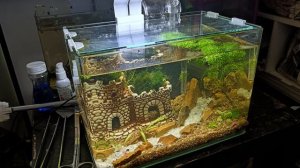 Мини-аквариум Премиум бесшовный 10 л.