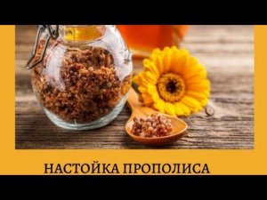 Как сделать настойку из прополиса в домашних условиях