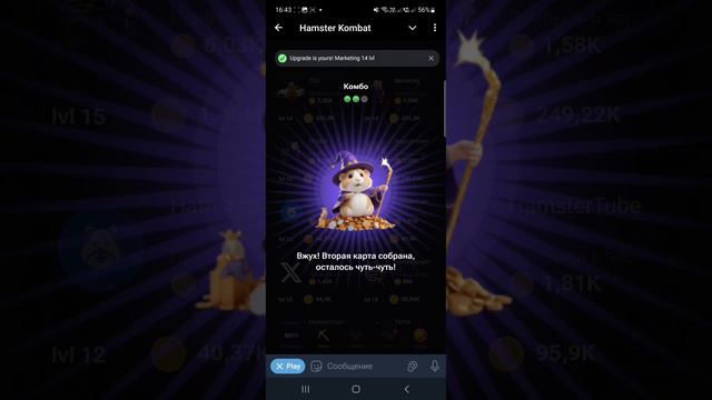 СЕКРЕТНЫЕ КОМБО КАРТЫ В ХАМСТЕР КОМБАТ 16-17 ИЮЛЯ! Hamster kombat сегодня новые комбо в видео!